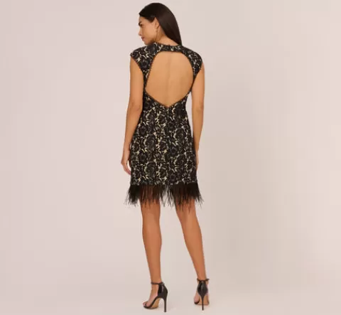 Adrianna Papell Cap Sleeve Lace Cocktail Dress With Feather Trim In Black Nude BLACK-NUDE Outlet