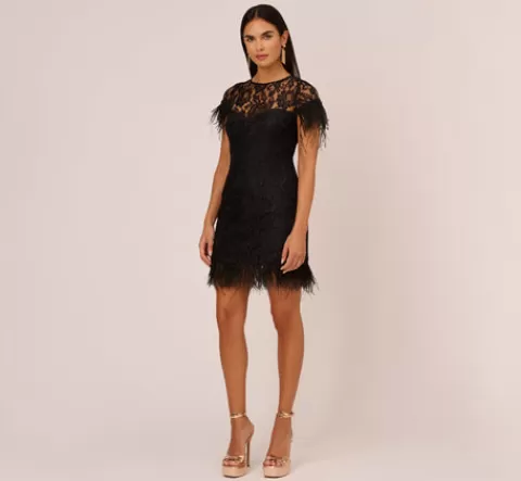 Adrianna Papell Floral Lace And Feather Trimmed Short Sheath Cocktail Dress In BLACK Clearance