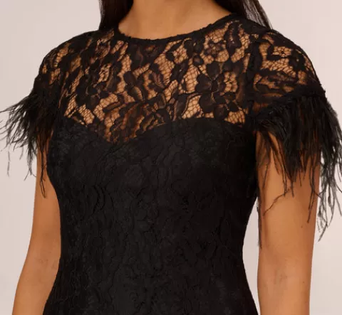Adrianna Papell Floral Lace And Feather Trimmed Short Sheath Cocktail Dress In BLACK Clearance
