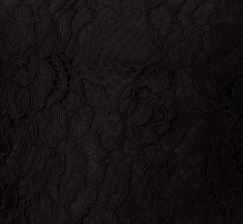 Adrianna Papell Floral Lace And Feather Trimmed Short Sheath Cocktail Dress In BLACK Clearance