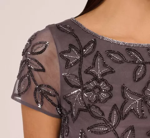 Adrianna Papell Jasmine Beaded Blouson Gown With Sheer Short Sleeves In MOONSCAPE Online