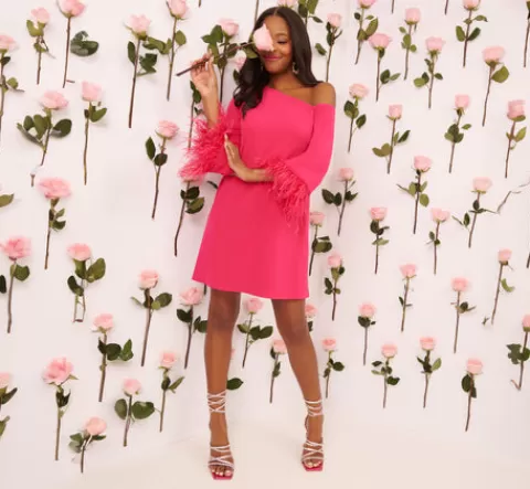 Adrianna Papell Knit Crepe One Shoulder Long Sleeve Dress With Feather Accents In Bright Rose BRIGHTROSE Best Sale