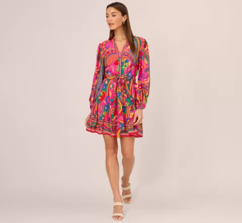 Adrianna Papell Long Sleeve Retro Printed A Line Dress In Pink Multi PINKMULTI Sale