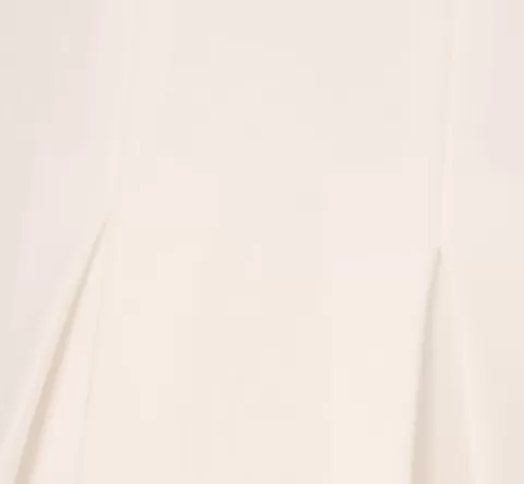Adrianna Papell Long Sleeve Tuxedo Mini Dress With Crystal Button Accents In IVORY Fashion