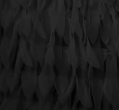 Adrianna Papell One Shoulder Cocktail Dress With Feather Chiffon Skirt In BLACK Best