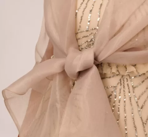 Adrianna Papell Organza Wrap Jacket With Short Sleeves In CHAMPAGNE Hot