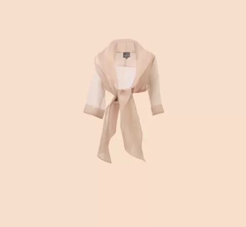 Adrianna Papell Organza Wrap Jacket With Short Sleeves In CHAMPAGNE Hot