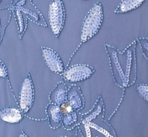 Adrianna Papell Plus Size Hand Beaded Short Sleeve Floral Godet Gown In French Blue FRENCHBLUE Fashion