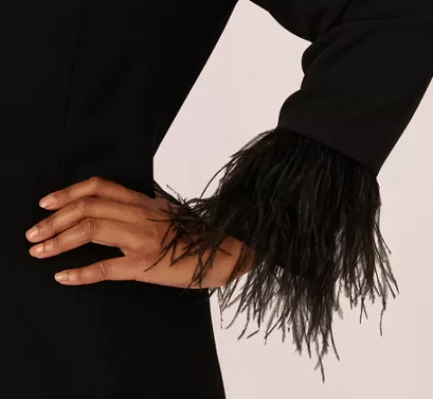 Adrianna Papell Plus Size Knit Crepe Long Sleeve Blazer Dress With Feather Trim In BLACK Hot