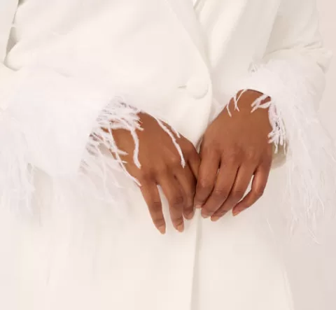 Adrianna Papell Plus Size Knit Crepe Long Sleeve Blazer Dress With Feather Trim In IVORY Cheap