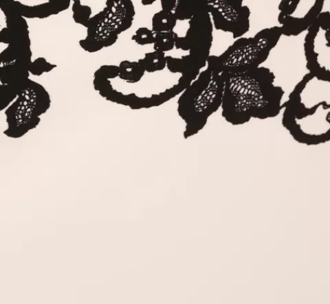 Adrianna Papell Scroll Lace Midi Dress With Three Quarter Sleeves In Ivory Black IVORY-BLACK Flash Sale