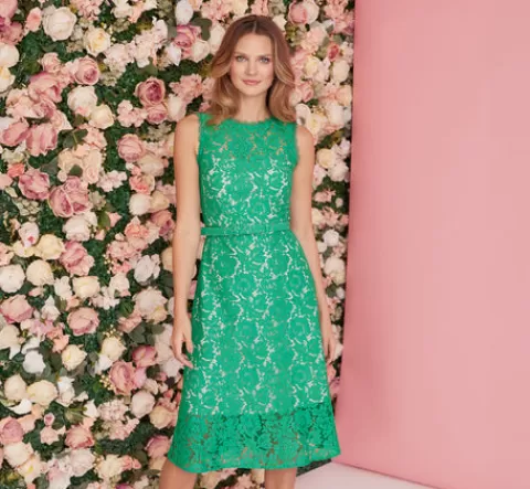 Adrianna Papell Sleeveless Lace Fit And Flare Dress With Sheer Details In Botanic Green BOTANICGREEN Best Sale